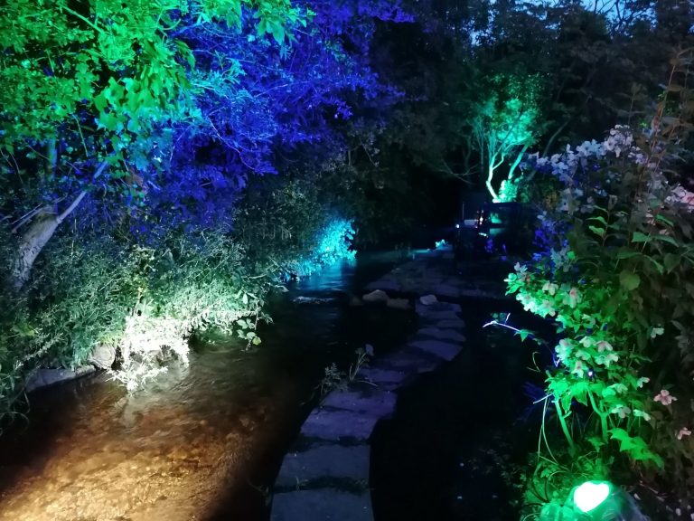 Evening lights in the garden Evening lights in the garden